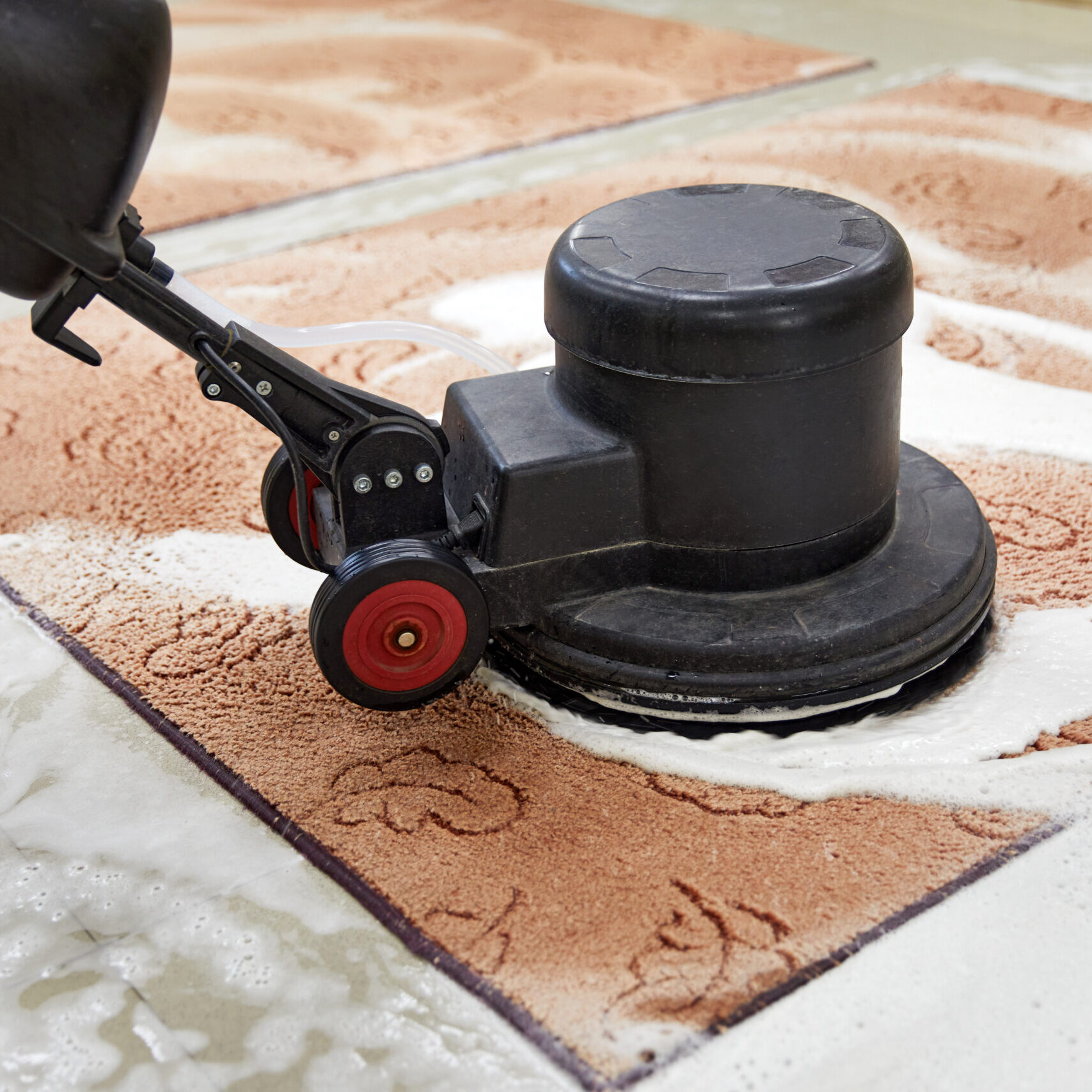 Carpet chemical cleaning with professionally disk machine. Early spring cleaning or regular clean up. Carpet chemical cleaning with professionally disk machine. Early spring cleaning or regular clean up. High quality photo