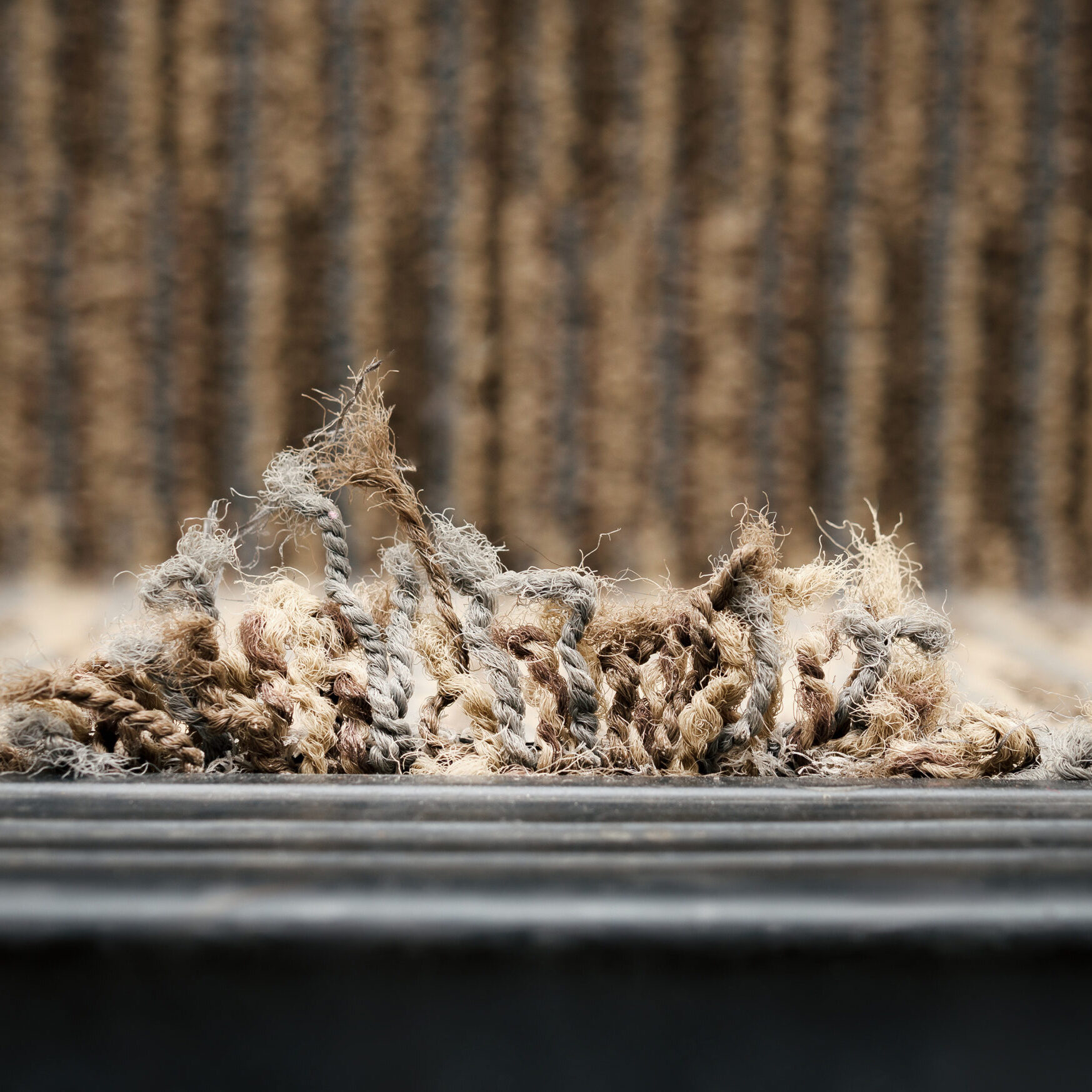 Frayed carpet coming loose on stairstep, stair nosing or stair edging. Close up of high traffic staircase with commercial carpet damage by the edge, causing tripping hazard. Selective focus. Frayed carpet coming loose on stairstep, stair nosing or stair edging. Close up of high traffic staircase with commercial carpet damage by the edge, causing tripping hazard. Selective focus.